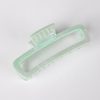 Fresh Start Glossy Claw Clip